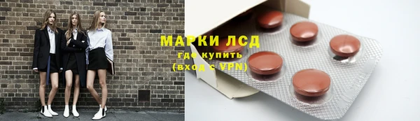 тгк Алзамай
