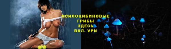 тгк Алзамай