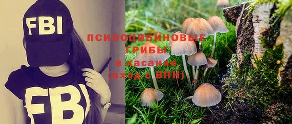 тгк Алзамай