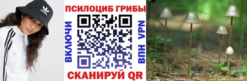 ссылка на мегу ссылка  Калтан  Псилоцибиновые грибы ЛСД  магазин  наркотиков 